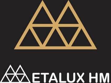 Profesionist: Metalux-H&M