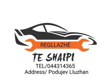 Profesionist: Te Shaipi