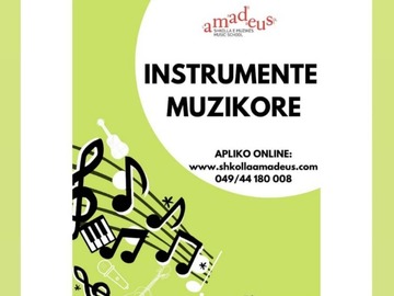 Profesionist: Mësime profesionale për instrumente muzikore