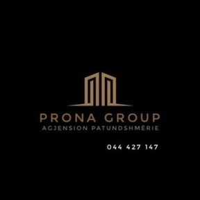 Prona Group - Agjencion Patund