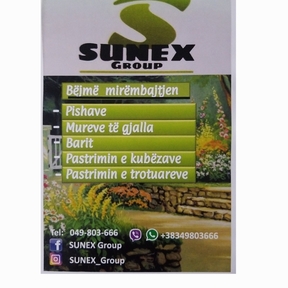 SUNEX Group